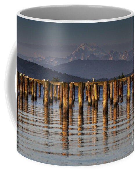 Guemes Channel Trail Coffee Mug featuring the photograph Guemes Channel Trail View by Mark Kiver