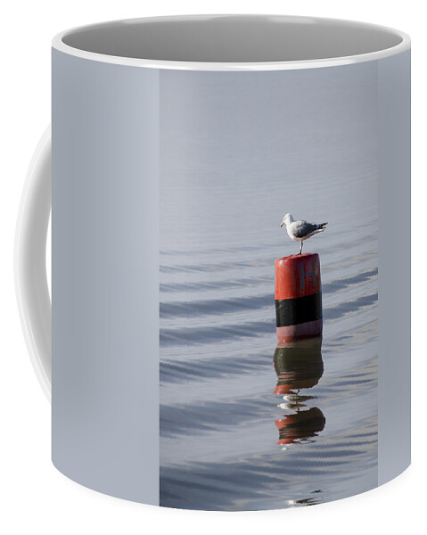 Sand Coffee Mug featuring the photograph Gull by Spikey Mouse Photography