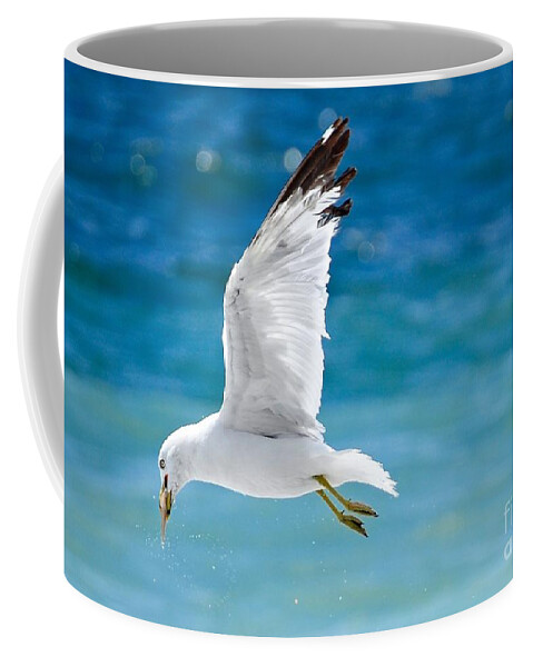 Water Coffee Mug featuring the photograph Herring Gull with Fish by Elaine Manley