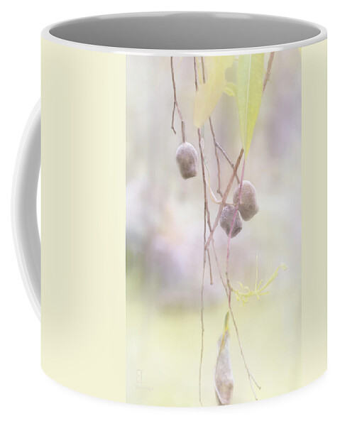Foliage Coffee Mug featuring the photograph Gum Nuts by Elaine Teague