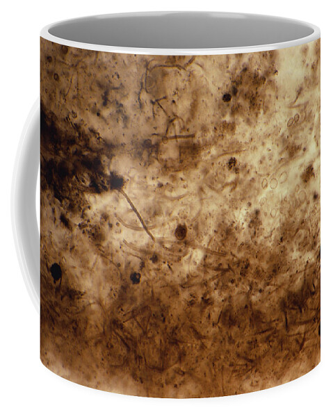 Algae Coffee Mug featuring the photograph Gunflint Chert Fossils by Michael Abbey