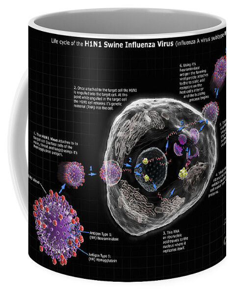 3d Visualisation Coffee Mug featuring the photograph H1n1 Swine Influenza Virus Life Cycle by Science Picture Co