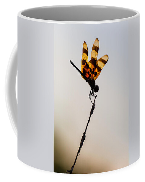 Dragonfly Coffee Mug featuring the photograph Halloween Pennant Dragonfly Glow by Ed Gleichman