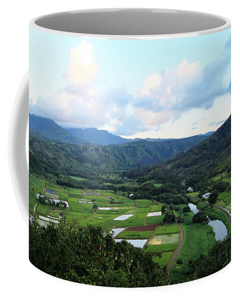 Hanalei Coffee Mug featuring the photograph Hanalei Valley by Linda Arnado