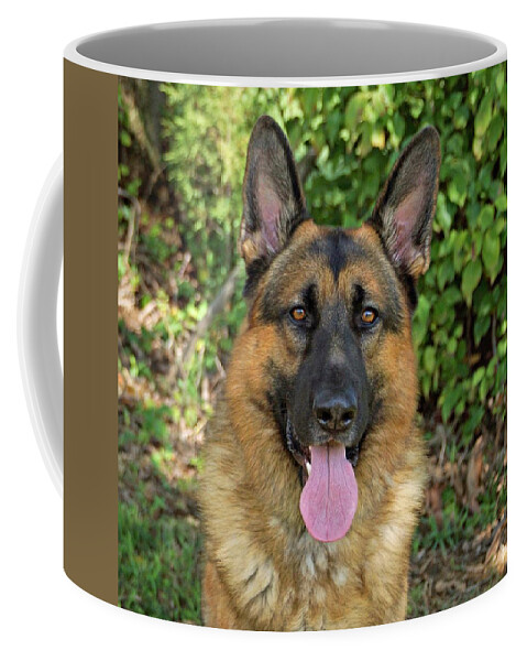 German Shepherd Coffee Mug featuring the photograph Handsome Boy by Sandy Keeton