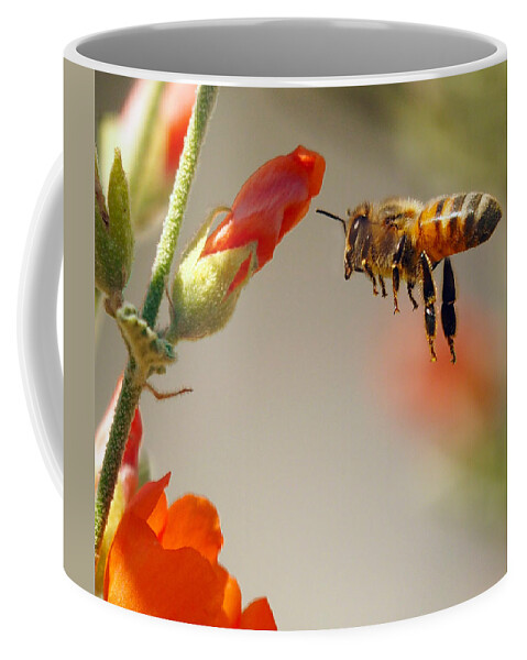 Busy Coffee Mug featuring the photograph Hangin Six by Joe Schofield