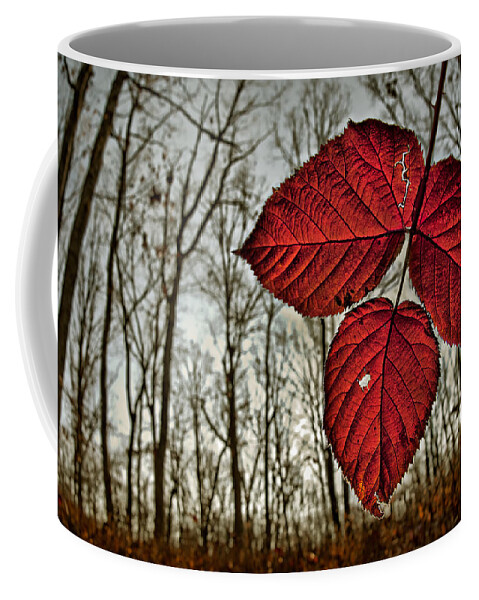 2011 Coffee Mug featuring the photograph Hanging Down by Robert Charity