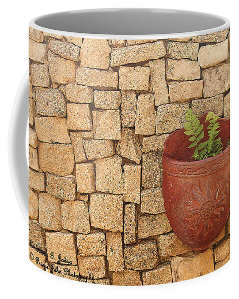 Wall Coffee Mug featuring the photograph Hanging In There by Hany J