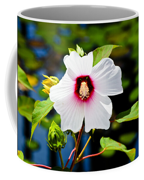 Floral Coffee Mug featuring the photograph Happiness Shared is the Flower by Christi Kraft