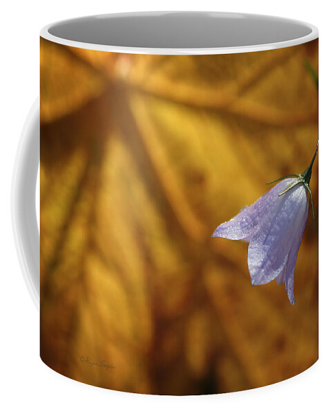 Indigo Coffee Mug featuring the photograph Hare Bell and Gold Leaf by Roger Snyder