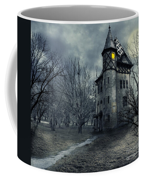 House Coffee Mug featuring the photograph Haunted house by Jelena Jovanovic
