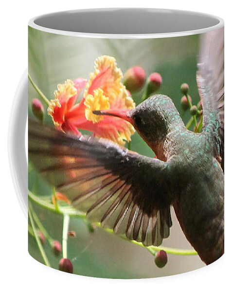 Hummingbird Coffee Mug featuring the photograph Haunting Hummingbird by Nathan Miller