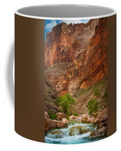 America Coffee Mug featuring the photograph Havasu Creek Number 3 by Inge Johnsson