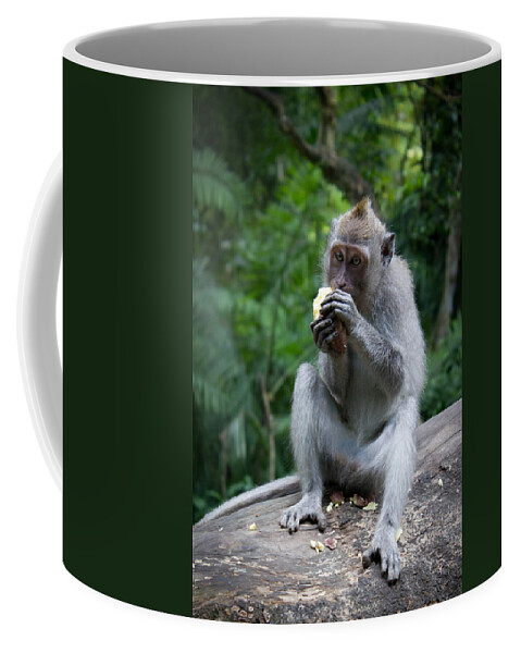 Animal Coffee Mug featuring the photograph Having A Little Lunch by Christie Kowalski