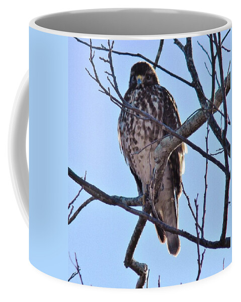 Birds Coffee Mug featuring the digital art Messenger of Faith Windows From Heaven by Matthew Seufer