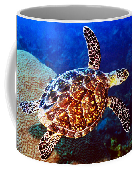  Swimming Sea Turtle Coffee Mug featuring the photograph Hawksbill by Jean Noren