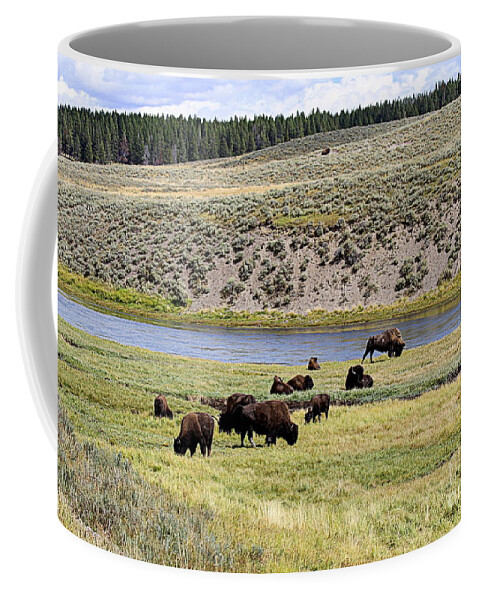 Bison Coffee Mug featuring the photograph Hayden Valley Bison Herd in Yellowstone National Park by Catherine Sherman