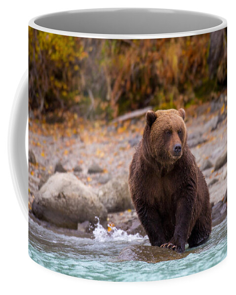 Bear Coffee Mug featuring the photograph Headed In by Kevin Dietrich
