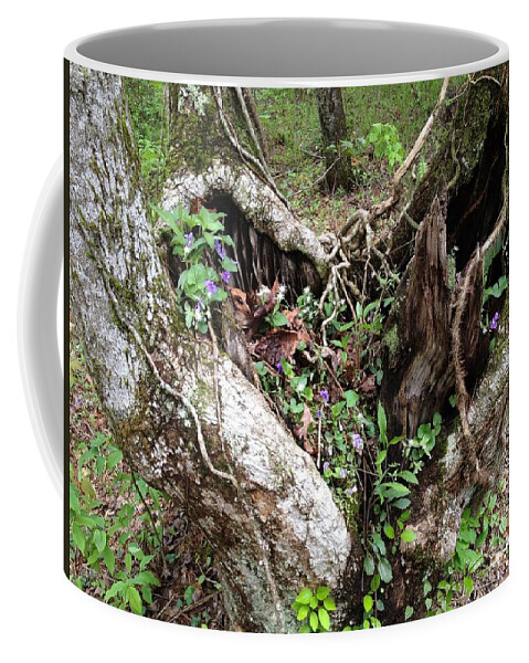 Trees Coffee Mug featuring the photograph Heart-shaped Tree by Jan Dappen