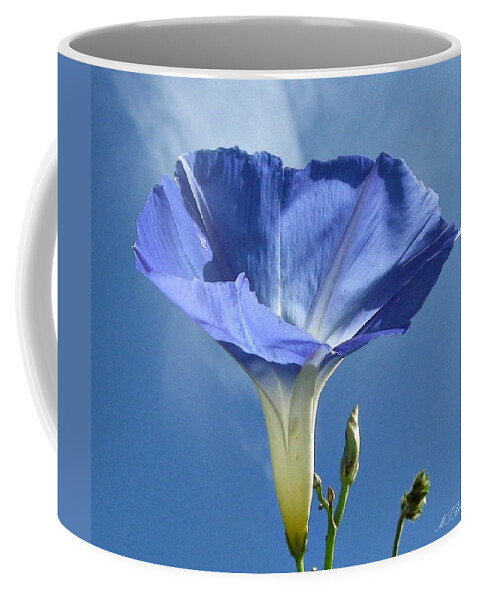 Morning Glory Coffee Mug featuring the photograph Heavenly Blue on Blue by MTBobbins Photography