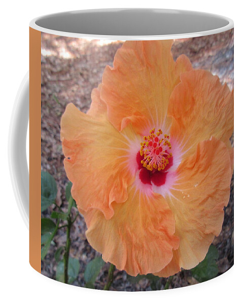 Print Coffee Mug featuring the photograph Heavenly Orange Swirl by Ashley Goforth