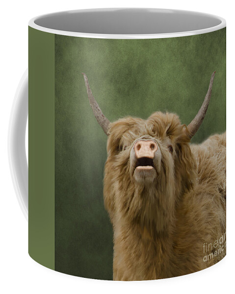 Cow Coffee Mug featuring the photograph Heelan Coo by Linsey Williams
