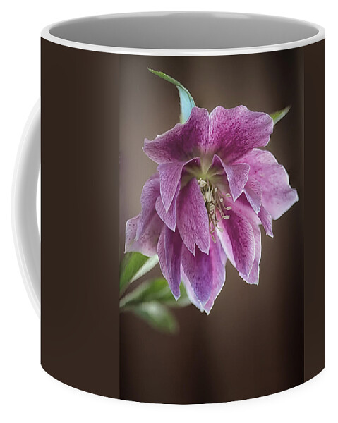 Helibores Coffee Mug featuring the photograph Helibores by Shirley Mitchell
