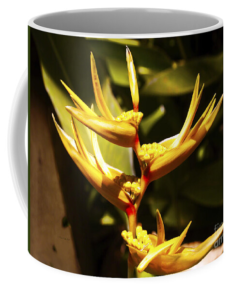 Flower Photography Coffee Mug featuring the photograph Heliconia by Patricia Griffin Brett