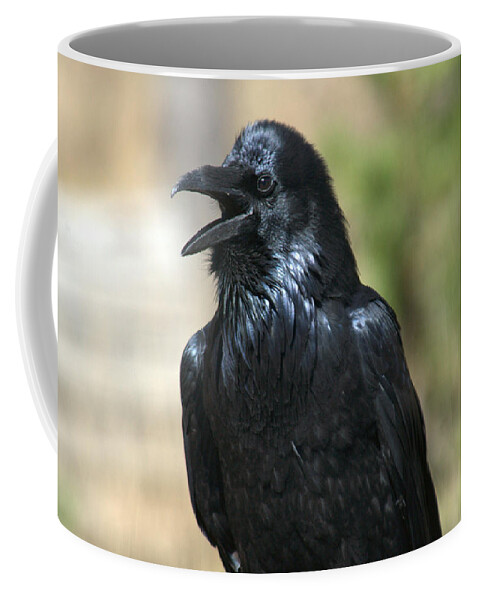 Raven Coffee Mug featuring the photograph Hello. Welcome by Frank Madia