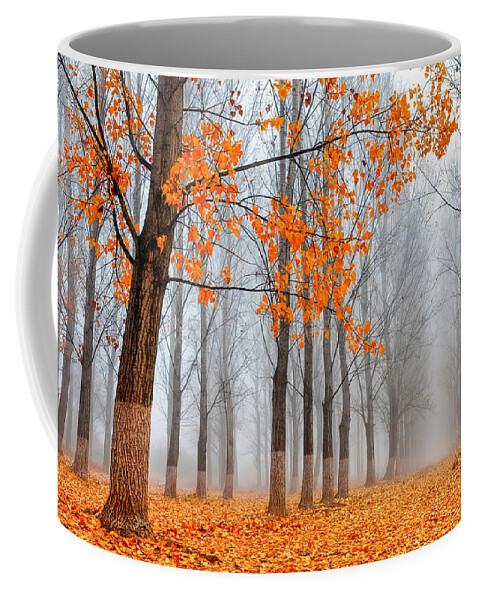 Bulgaria Coffee Mug featuring the photograph Heralds Of Autumn by Evgeni Dinev