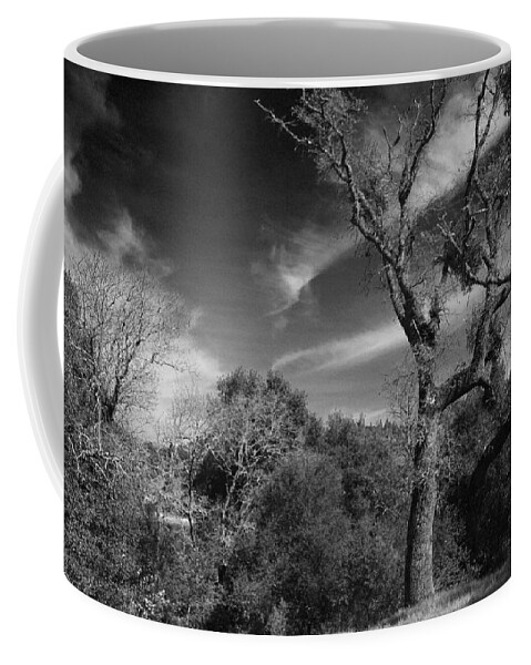 Lafayette Reservoir Recreation Area Coffee Mug featuring the photograph Here As I Stand by Laurie Search