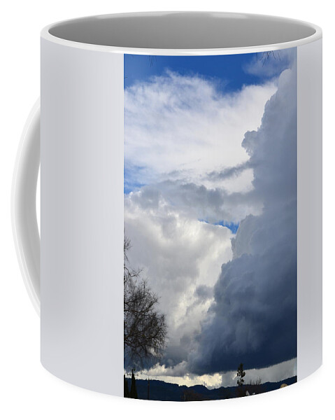  Coffee Mug featuring the photograph Here Comes the Rain in Napa by Dean Ferreira
