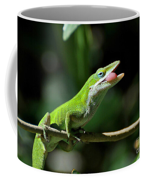 Lizard Coffee Mug featuring the photograph Here's What I Think Of You Human by Kathy Baccari