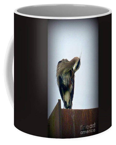 Heron Coffee Mug featuring the photograph Heron Grooming by Susan Garren