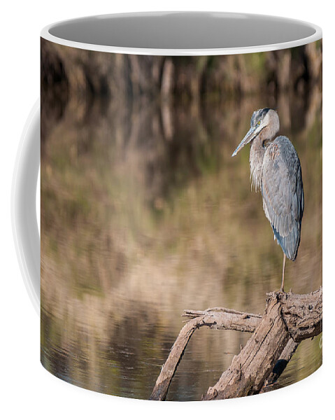 Al Andersen Coffee Mug featuring the photograph Heron Perched On Log by Al Andersen