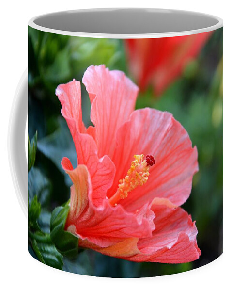 Hibiscus Coffee Mug featuring the photograph Hibiscus summer by Linda Bailey