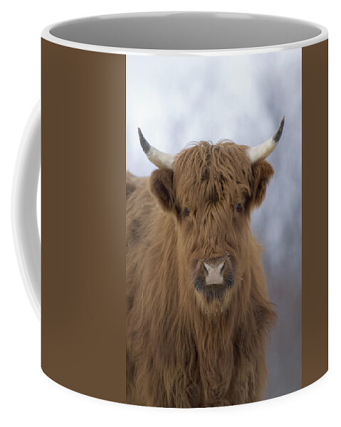 Feb0514 Coffee Mug featuring the photograph Highland Cattle Kodiak Island Alaska by Michael Quinton