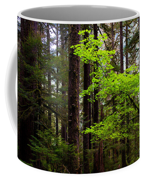 Olympic Coffee Mug featuring the photograph Highlight by Chad Dutson
