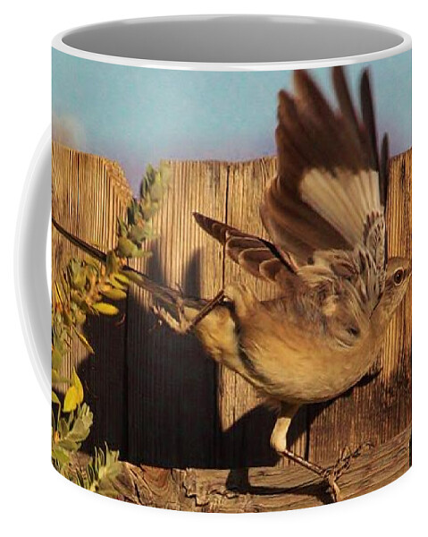 Birds Coffee Mug featuring the photograph Hightail It Out of There by Marcia Breznay