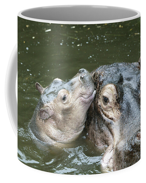 Hippo Coffee Mug featuring the photograph Hippopotamus And Baby by M. Watson