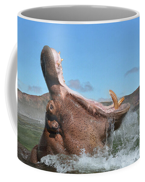 Hippo Coffee Mug featuring the photograph Hippopotamus Bursting out of the Water by Jim Fitzpatrick