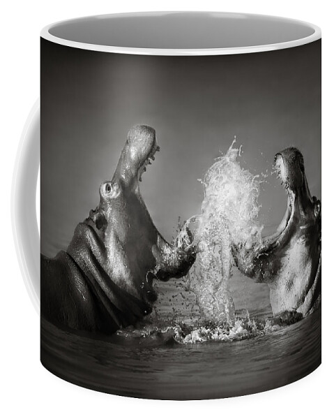 Hippo Coffee Mug featuring the photograph Hippo's fighting by Johan Swanepoel
