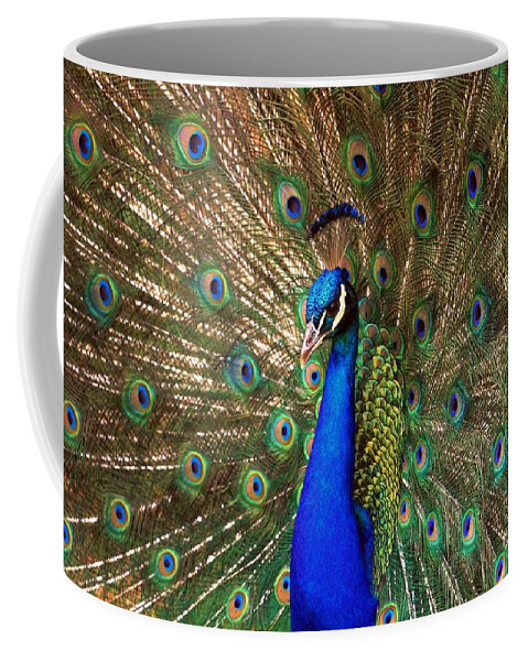 Bird Coffee Mug featuring the photograph His Majesty by Geraldine DeBoer