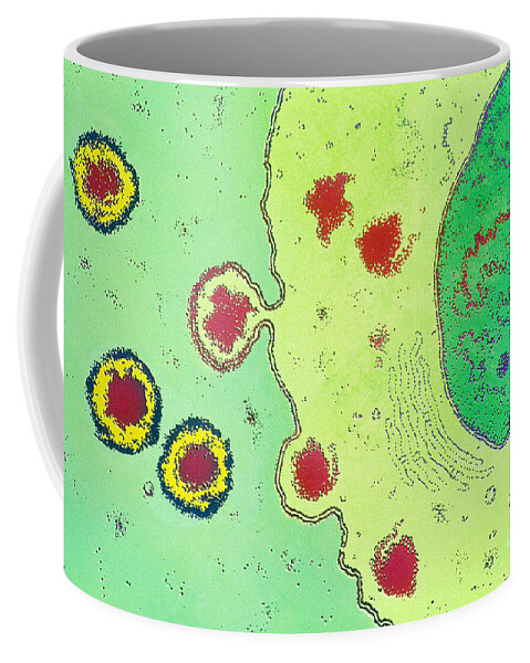 Hiv Coffee Mug featuring the photograph Hiv Budding From T-cell Cytoplasm by Chris Bjornberg