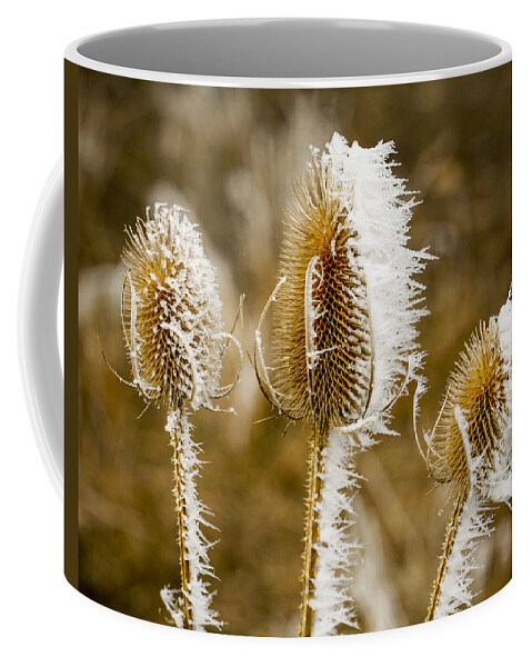Hoar Coffee Mug featuring the photograph Hoar Frost 3 by Marilyn Hunt