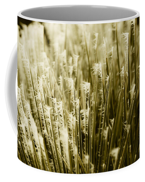 Hoar Coffee Mug featuring the photograph Hoar Frost 8 by Marilyn Hunt