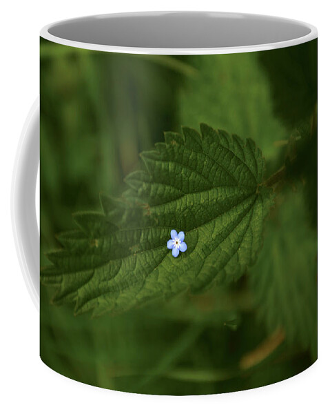 Plant Coffee Mug featuring the photograph Holding the flower by Matt Swinden