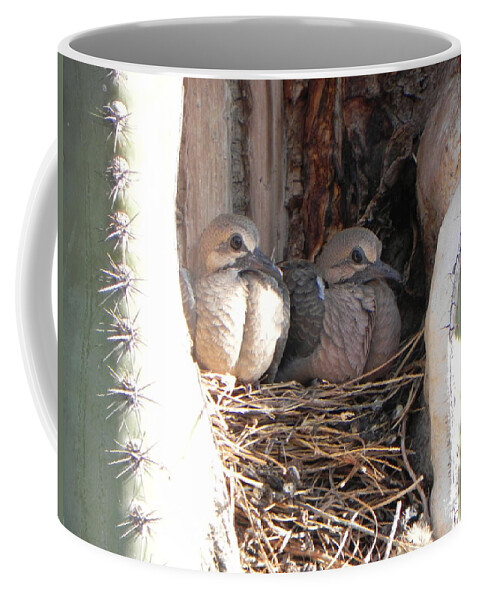 Doves Coffee Mug featuring the photograph Home All Alone by Deb Halloran