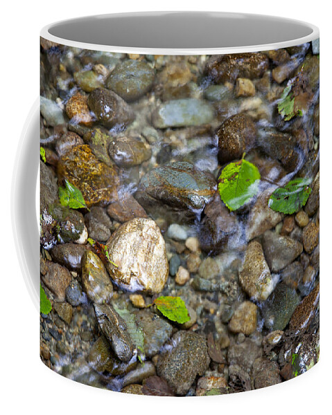 Fern Canyon Coffee Mug featuring the photograph Home Creek by Rick Pisio