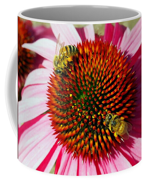 Nature Coffee Mug featuring the photograph Honey Bees and Echinacea Flowers by Amy McDaniel